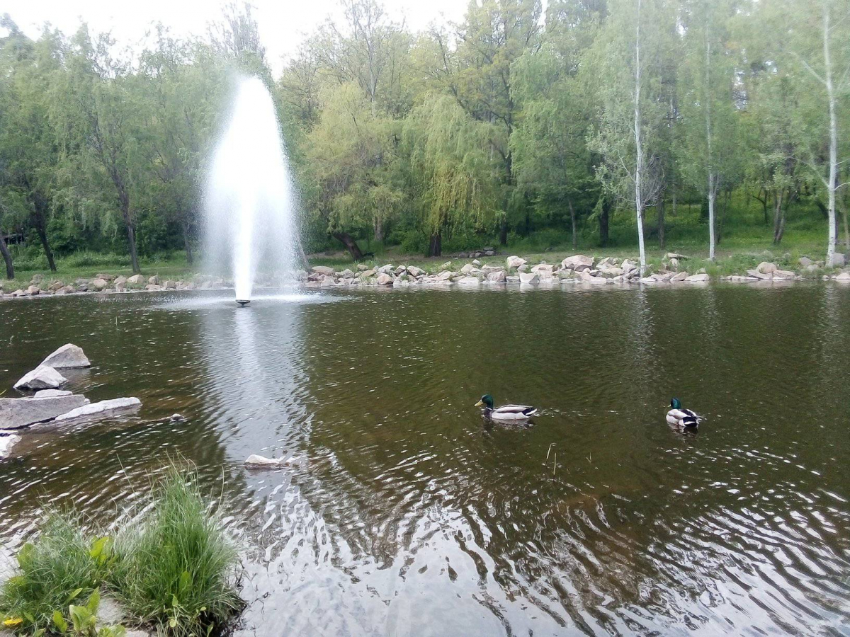 У запорізькому парку запрацювали плаваючі фонтани - фото