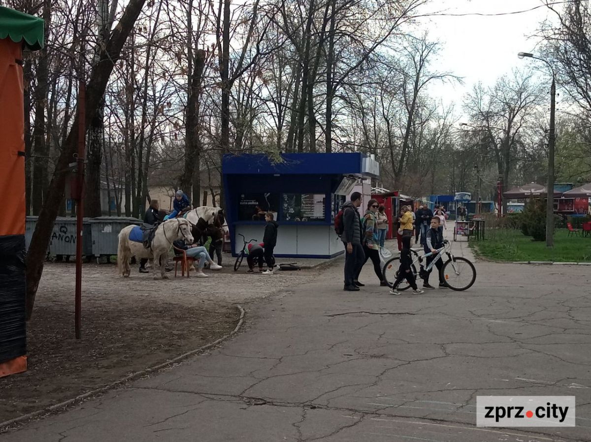 Сезон магнолій і лебеді: у вихідні в запорізькому парку був аншлаг - фото