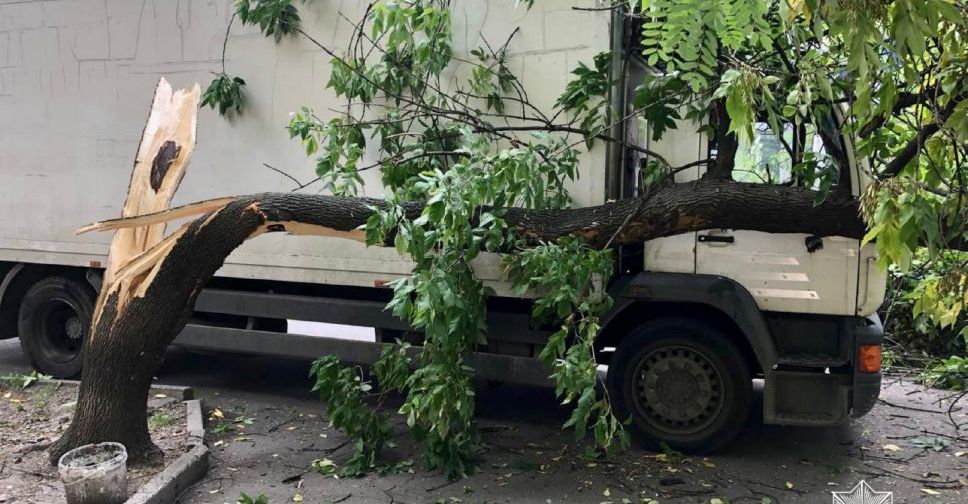 У Запоріжжі вантажівка знесла дерево - фото
