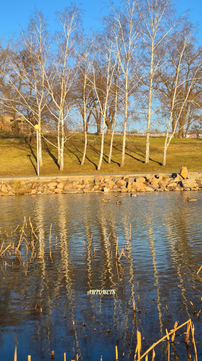 Сонце, качки і перші ознаки весни: як виглядає Вознесенівський парк у Запоріжжі на початку березня (фото)