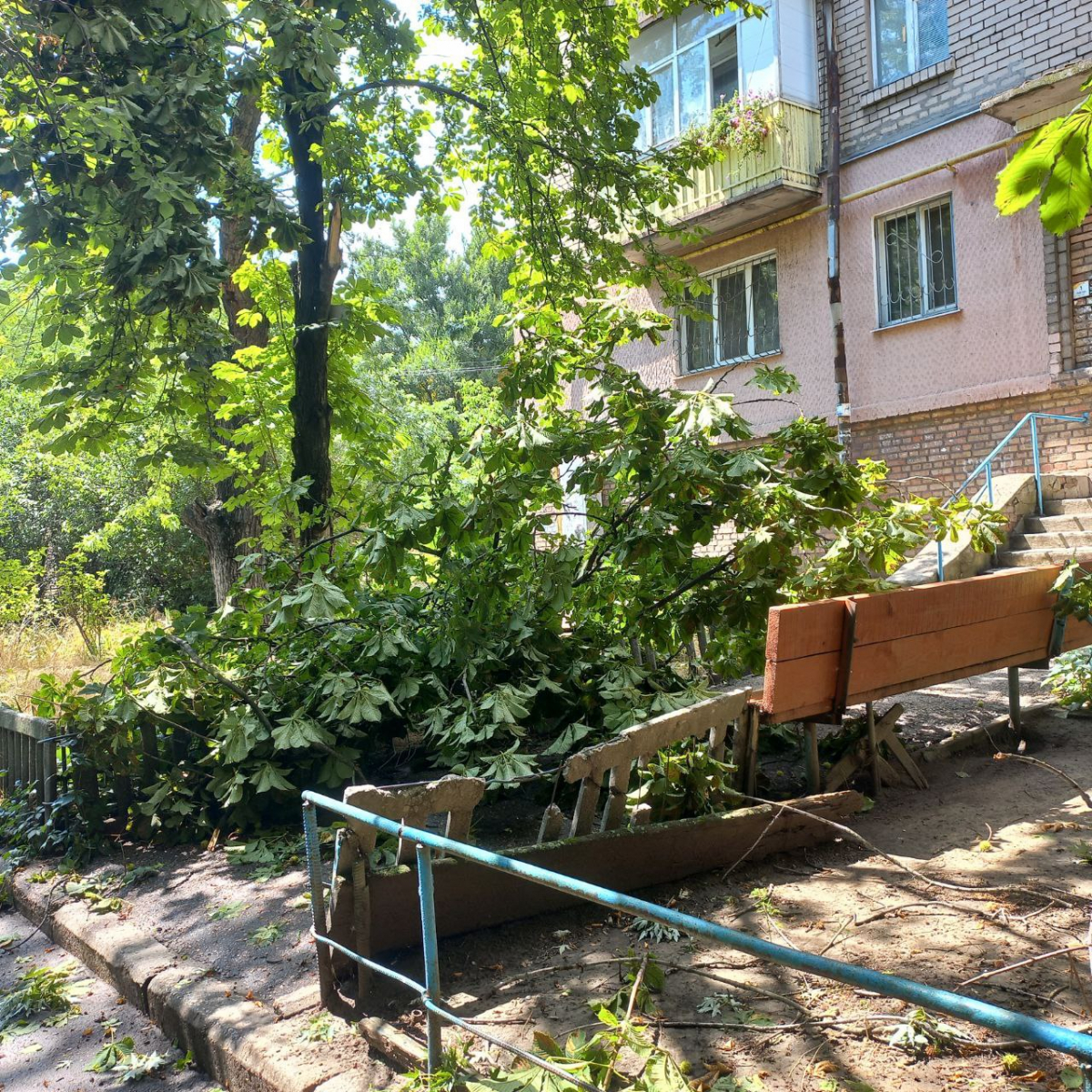 Повалені дерева та стовпи, обірвані мережі, побиті авто - у Запоріжжі комунальники ліквідовують наслідки негоди (фото)