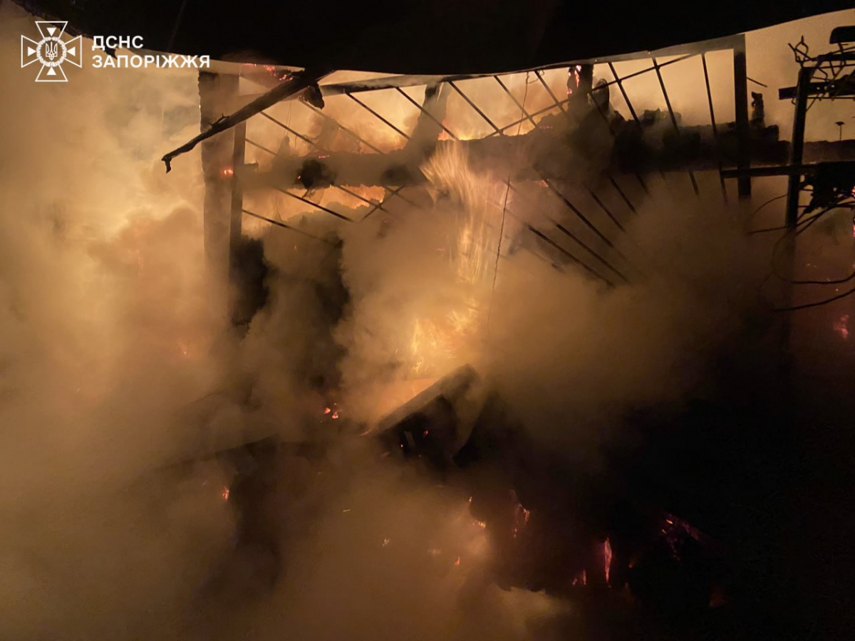 Винесли з диму та полум'я: у Запоріжжі врятували людину під час пожежі (фото, відео)
