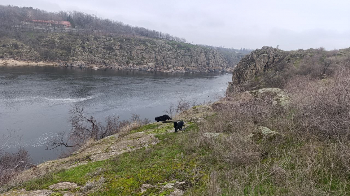 Урочище Вирва в Запоріжжі. Фото: Антоніна Фролова 