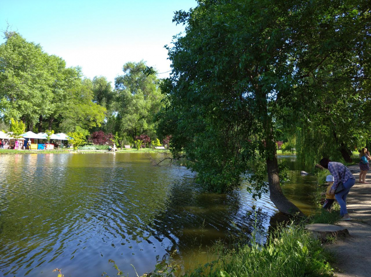 Милі пташенята та затоплені атракціони: як виглядає центральний парк Запоріжжя в перші дні червня