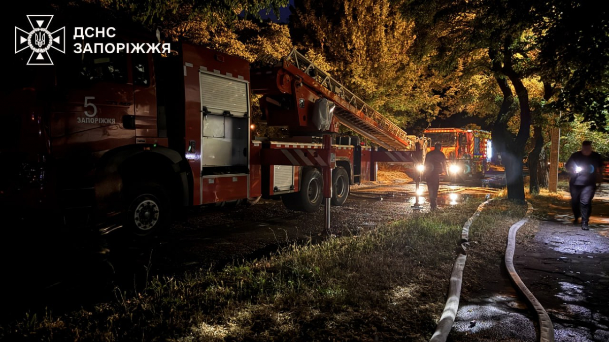  Полум'я спалахнуло на 10 поверсі: у Запоріжжі пожежники врятували чоловіка і песика (фото, відео)