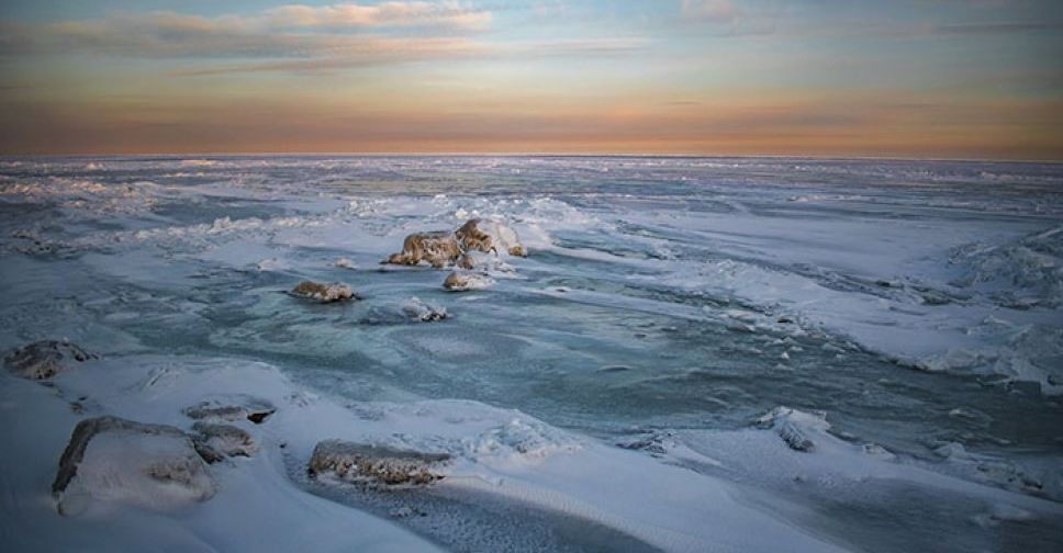 У Запорізькій області замерзло море - фото, відео