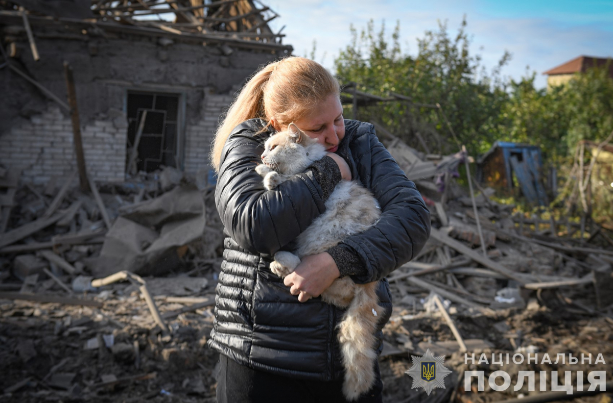 Під час ворожого обстрілу Запоріжжя літнє подружжя дивом врятувалося, а їхнім домашнім улюбленцям не пощастило - відео, фото