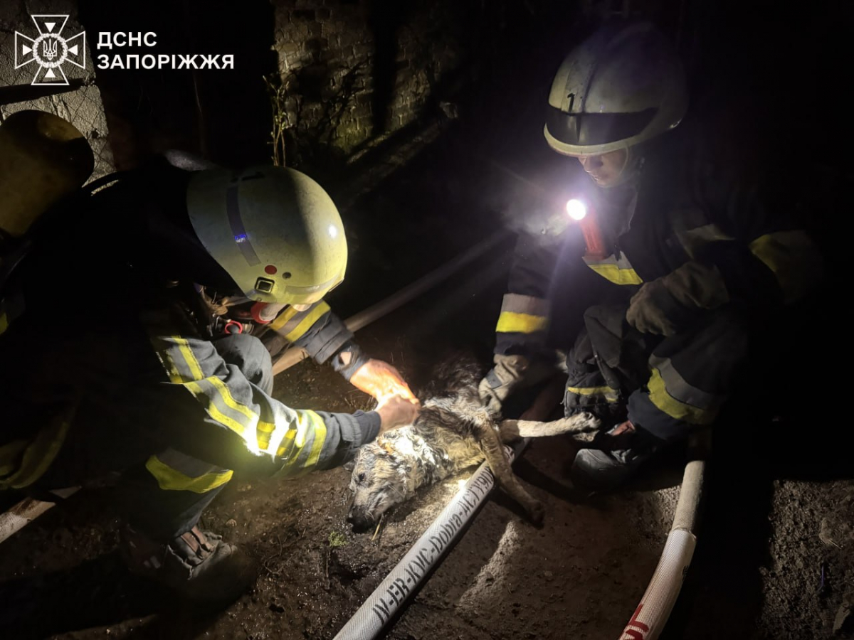 Батьки з дітьми опинилися серед вогню та диму: в Запоріжжі вночі в будинку спалахнула пожежа (фото, відео)