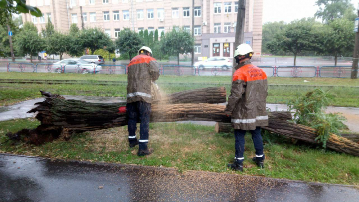 Дощ та шквальний вітер - у Запоріжжі через негоду попадали дерева (фото)