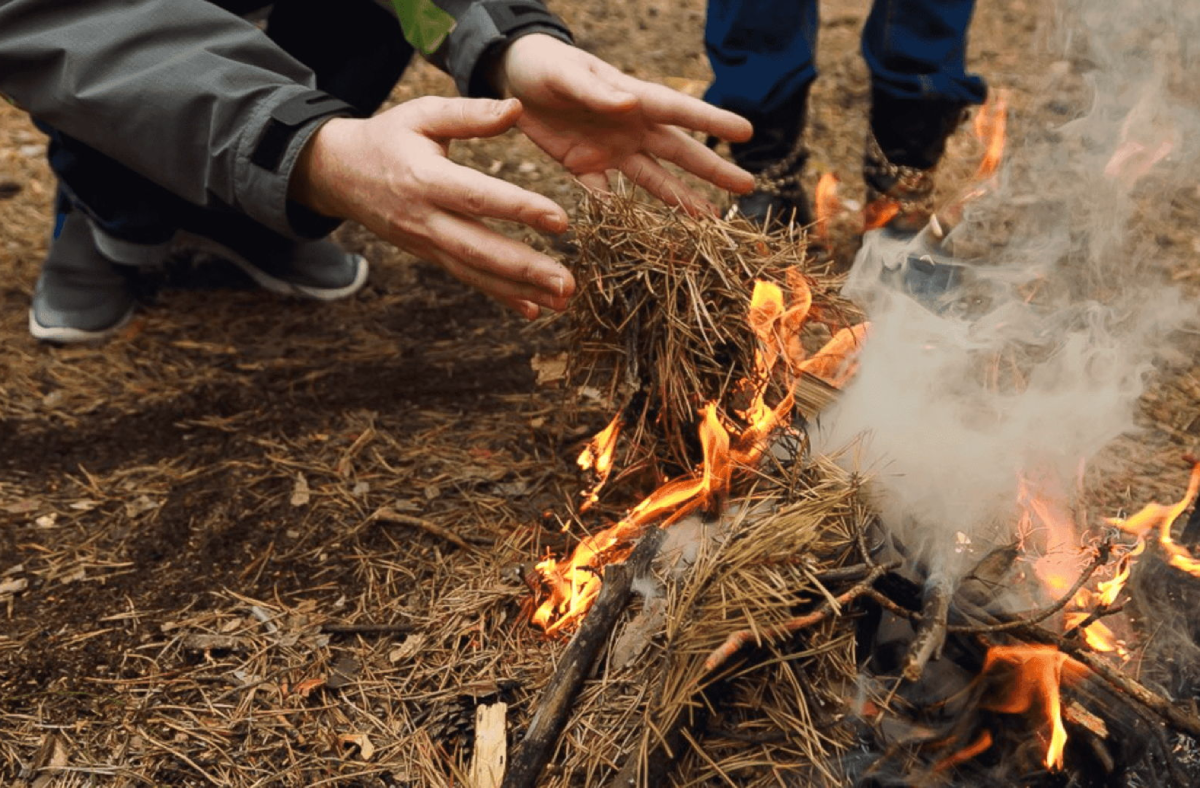 Бережіть природу від пожеж: запорізькі рятувальники звернулися до відпочивальників (відео)