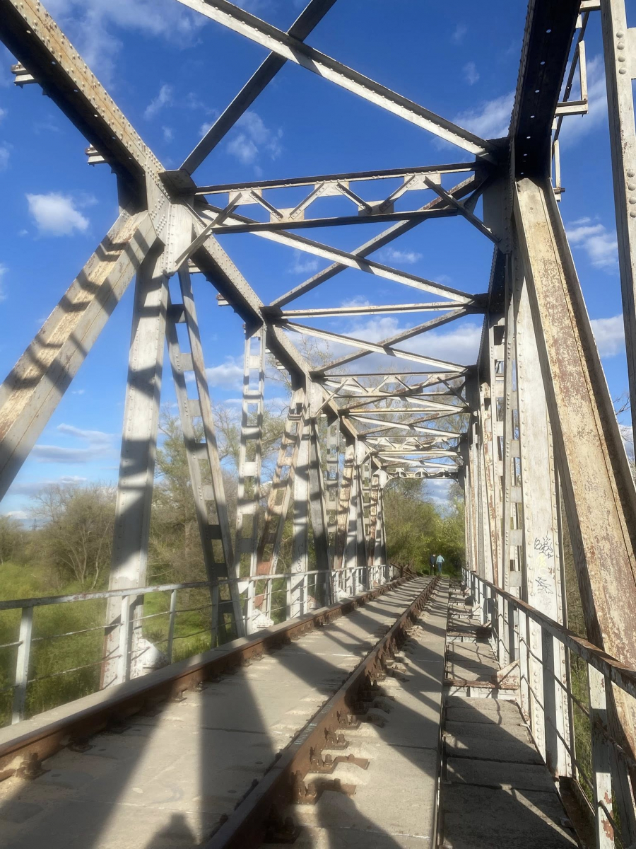 У головному парку Запоріжжя квітне сакура: чим ще можна помилуватись - фото