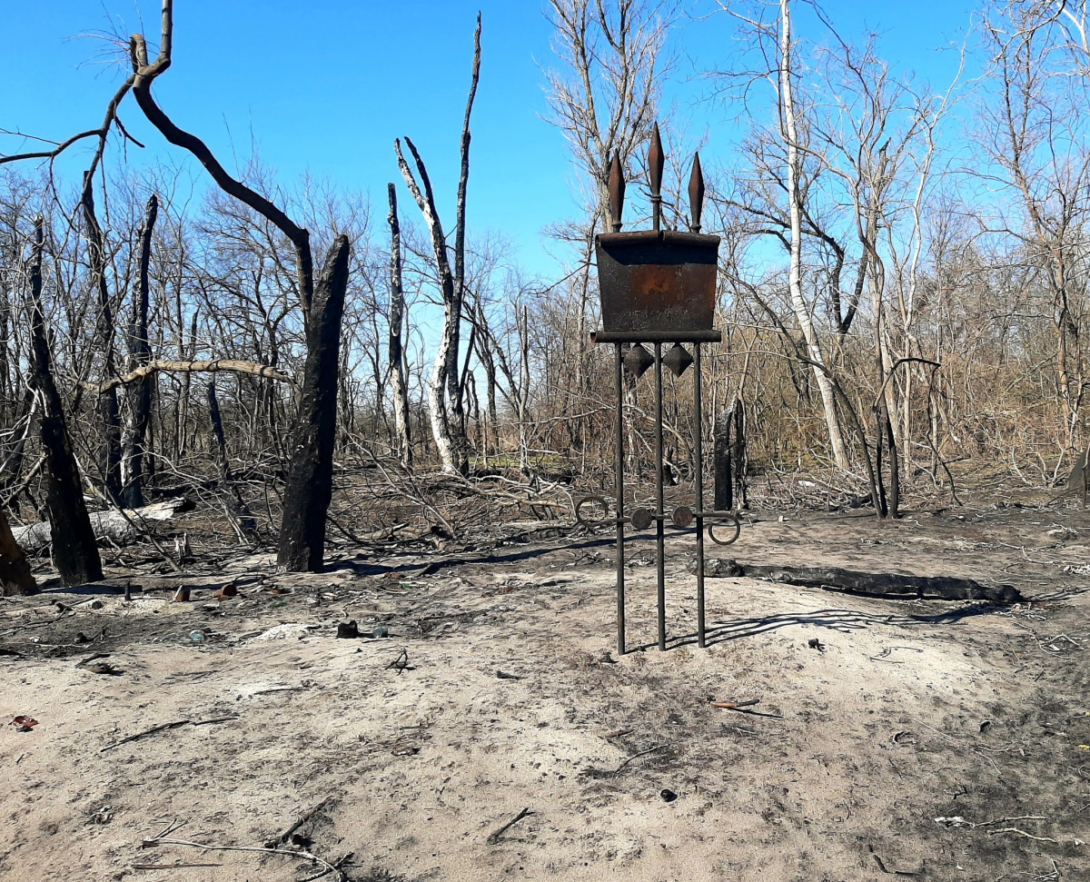 Життя перемагає: червонокнижні птахи не покинули Хортицю та звили нове гніздо (фото)