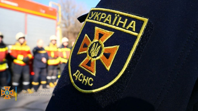 Злякався вибухів і заліз до вентиляції - у Запоріжжі визволили з пастки вусаня (фото)