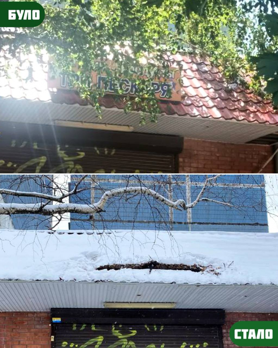 Благоустрій на контролі: у Запоріжжі зафіксували десятки порушень та прибрали незаконну рекламу (фото)