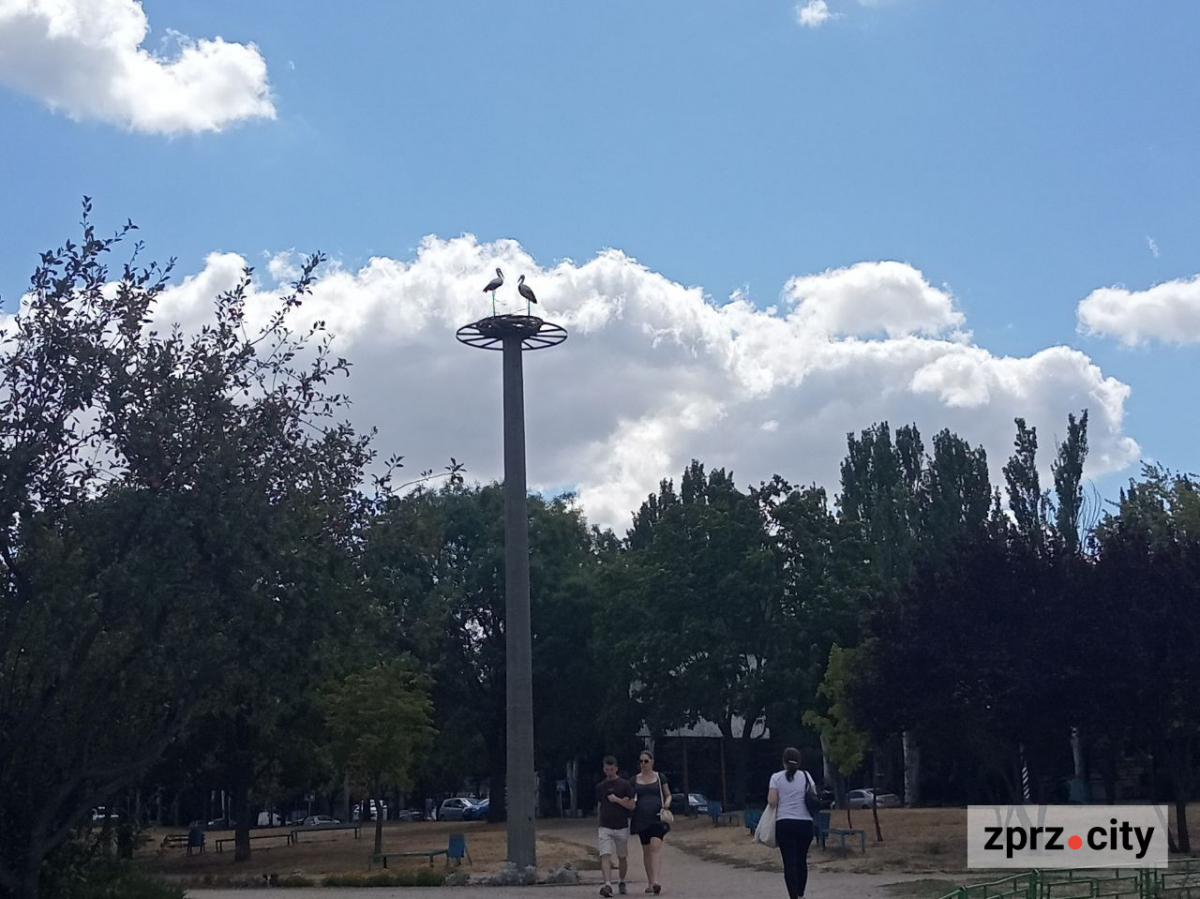 У запорізькому парку "попрацювали" вандали - фото