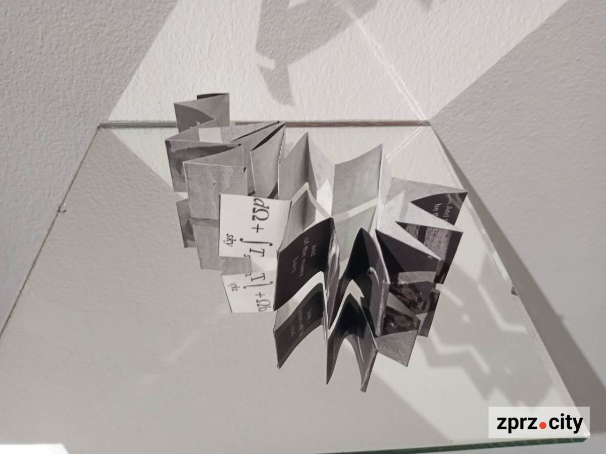 У Запоріжжі показали книгу, вирощену з гриба, та інші незвичайні артбуки - фото