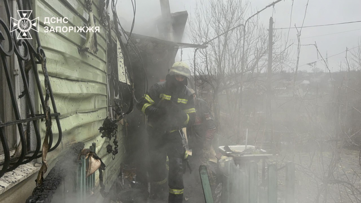 Під час пожежі в приватному будинку Запоріжжя надзвичайники врятували кота. Фото: ДСНС