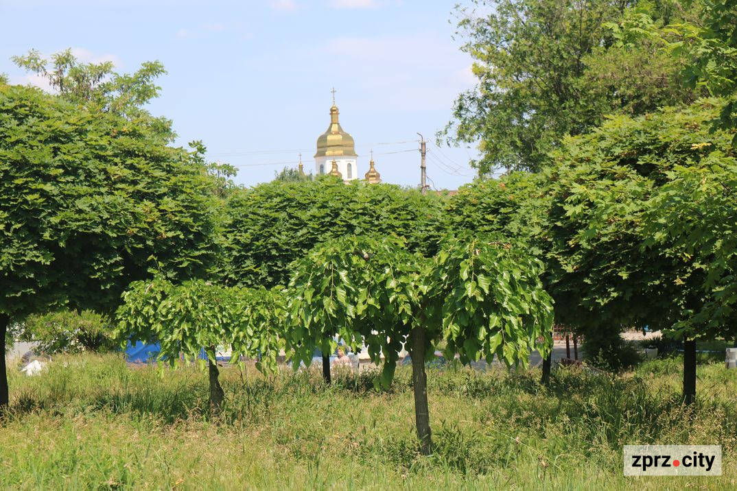 Як виглядає парк у спальному районі Запоріжжя на початку літа - фото