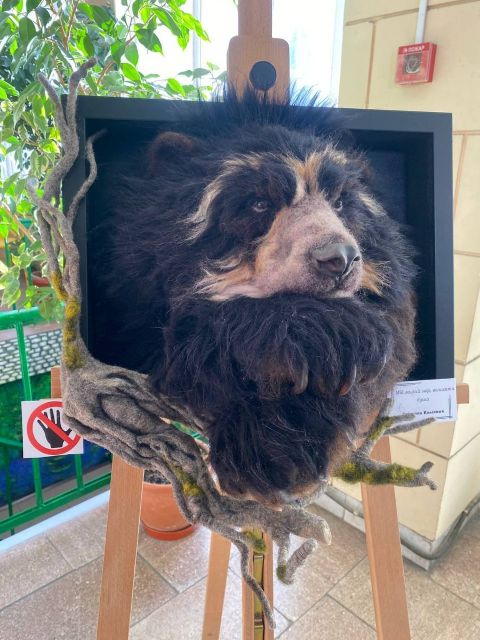 Трансформація ляльок: у Запоріжжі презентували виставку іграшок ручної роботи в незвичайному форматі (фото)