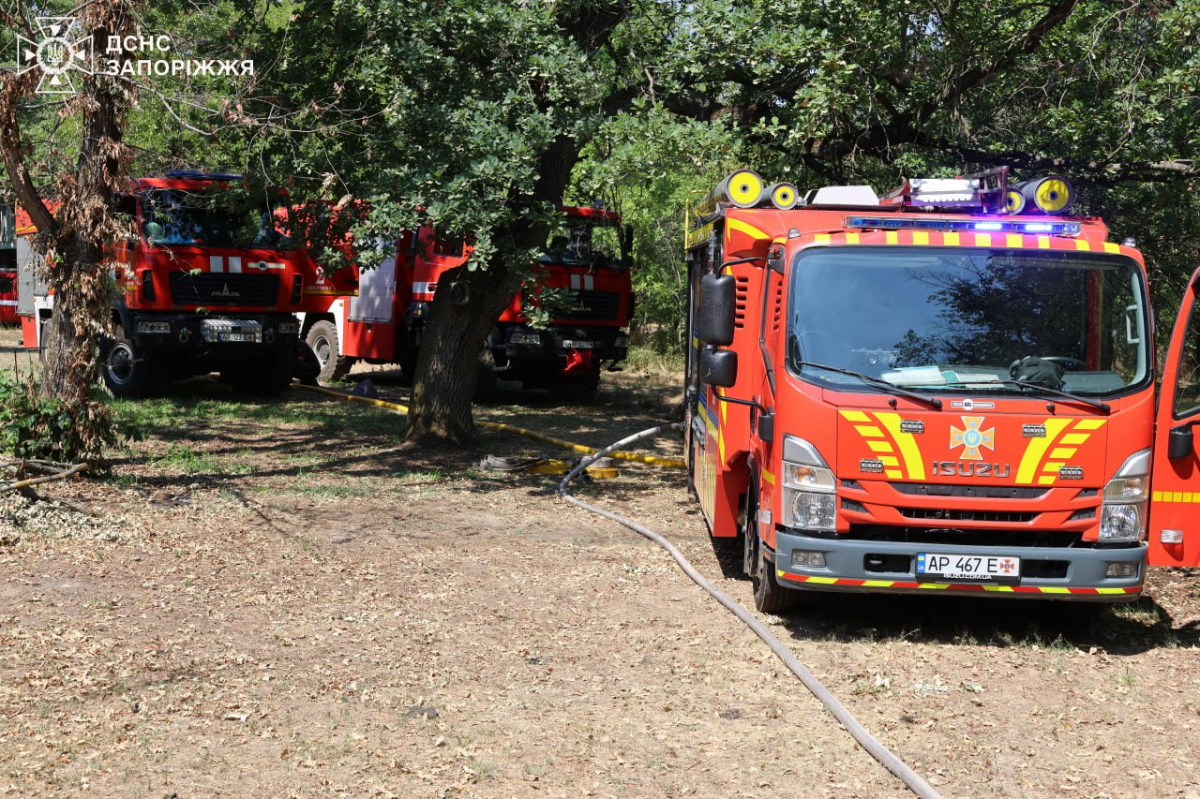 Безвідповідальність відвідувачів призвела до пожежі  – у Запоріжжі другий день поспіль триває боротьба з вогнем (фото)