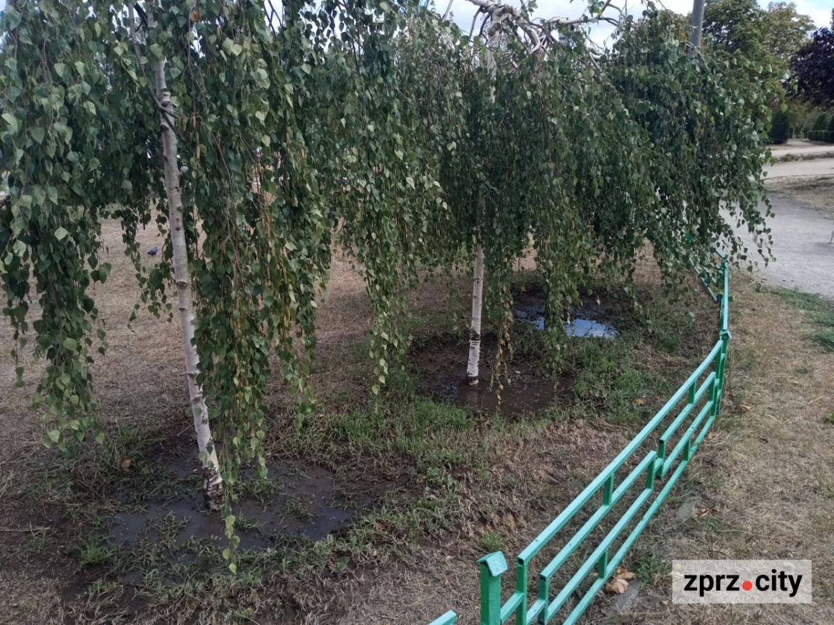 У запорізькому парку "попрацювали" вандали - фото