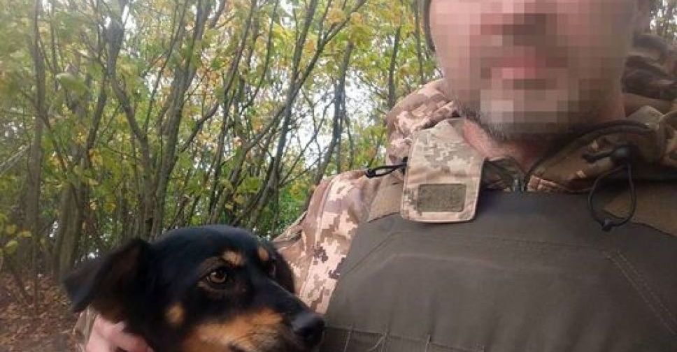 Військовий врятував собаку, пораненного під час ворожого обстрілу на Запорізькому напрямку