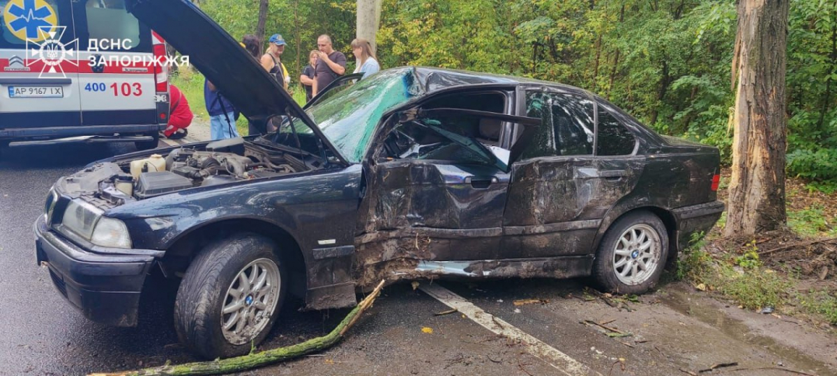 У Запоріжжі BMW влетів у дерево - постраждали водій та пасажирка (фото)