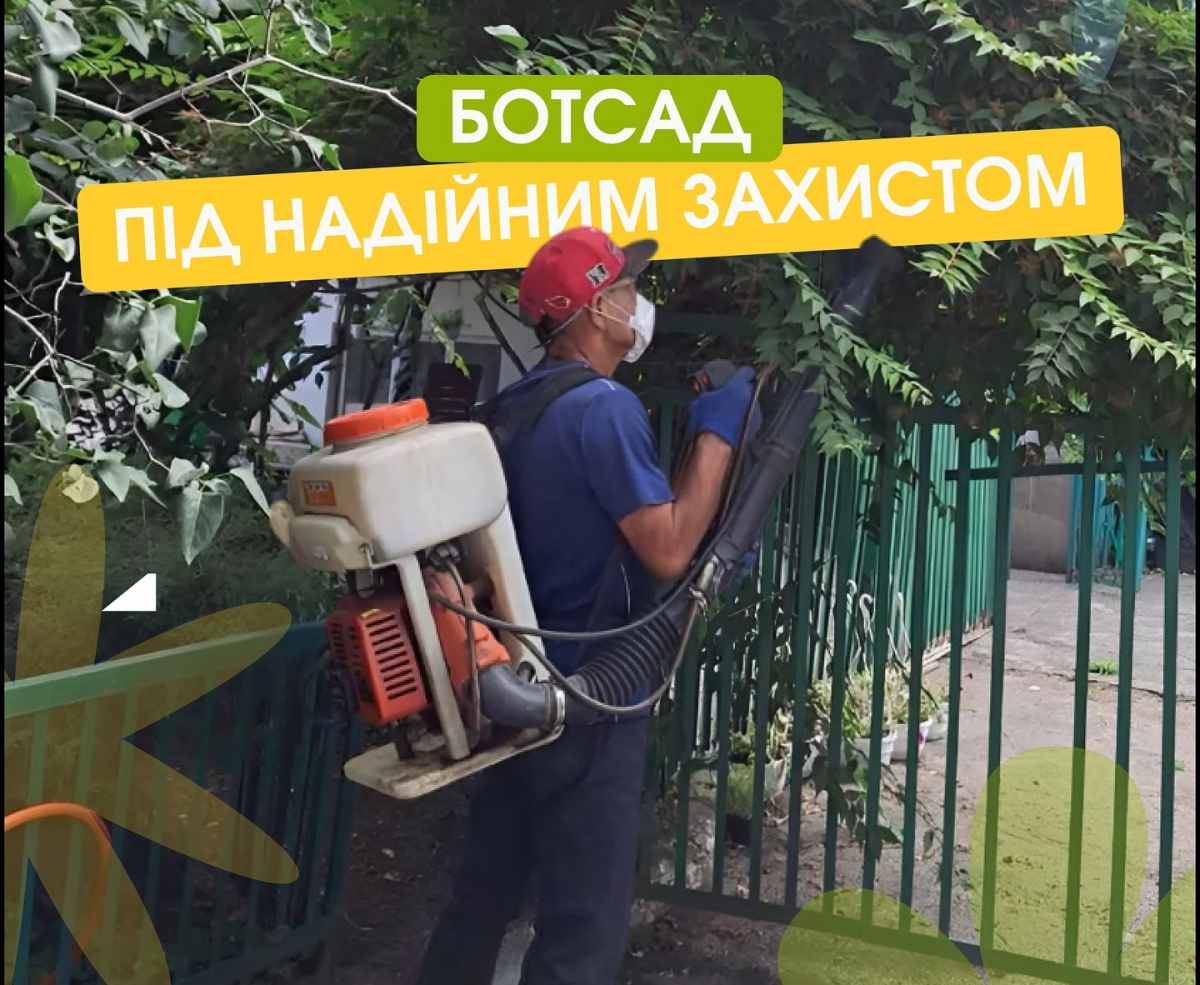 Нашестя сарани в Запоріжжі - ботсад вживає заходів для збереження рослин (фото)