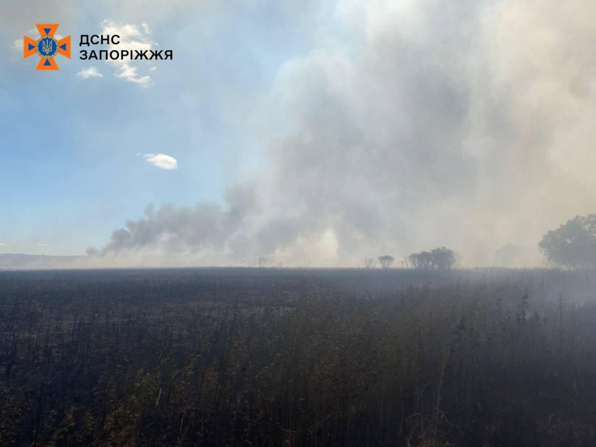 У Запоріжжі бачили великий стовп диму - що сталось