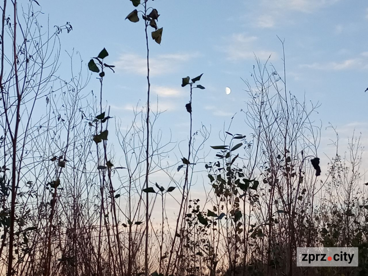 Як виглядало узбережжя Хортиці в останній день жовтня: ексклюзивний фоторепортаж