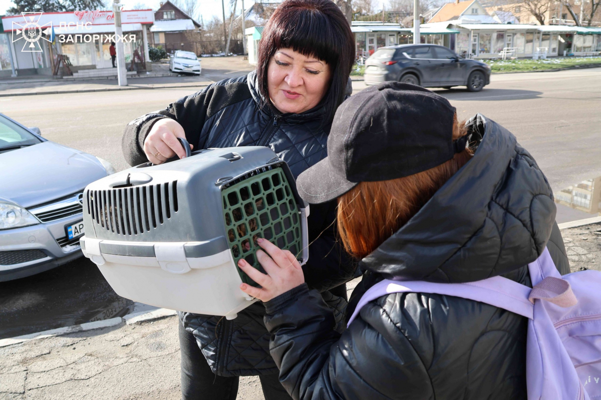 Допомагали людям та евакуювали кота - запорізькі рятувальники привезли пухнастика з прифронтового селища господарці (відео)