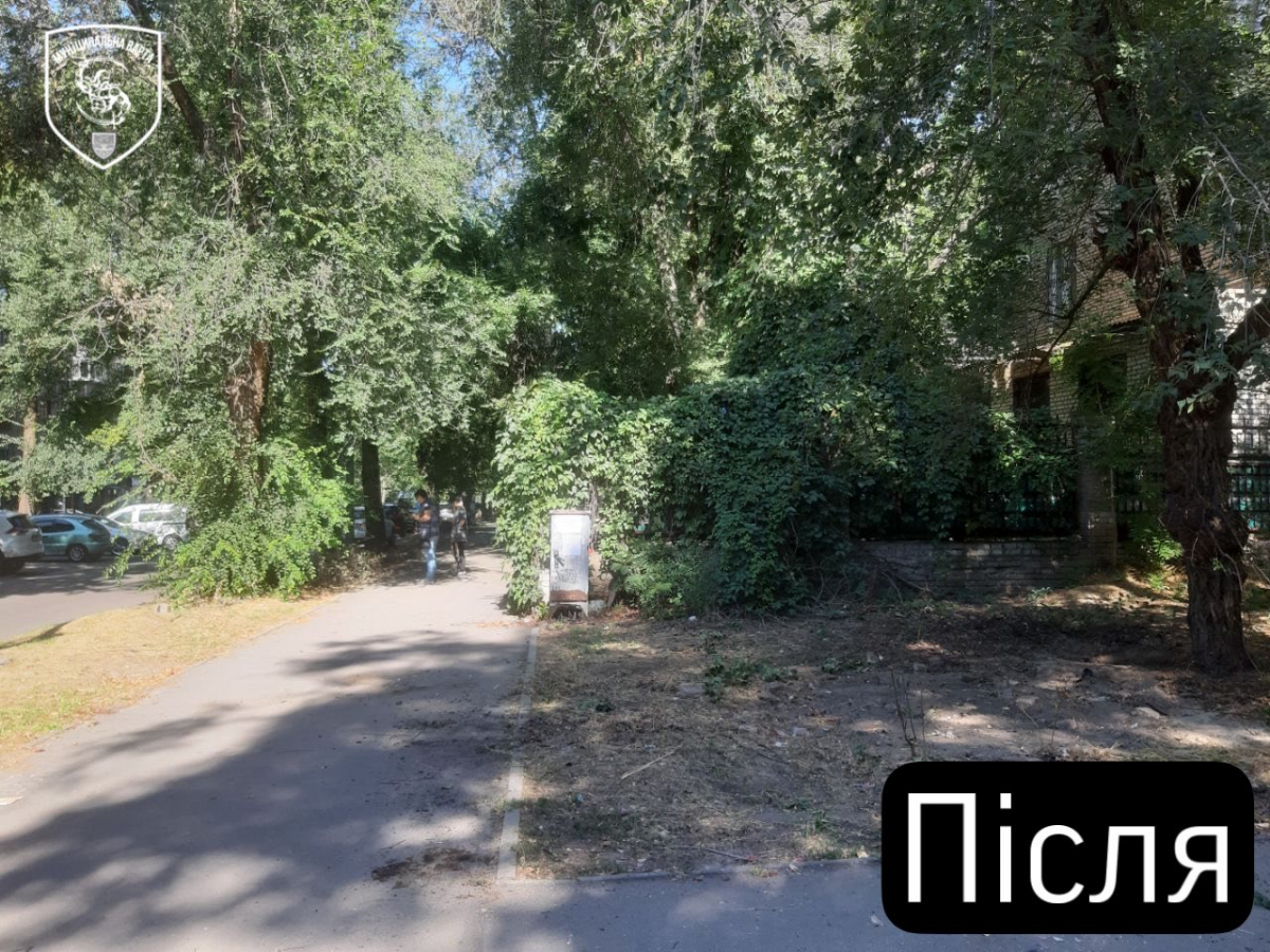 Прибрали металеву клітку з перехрестя - у Запоріжжі знесли незаконну торгову точку (фото)