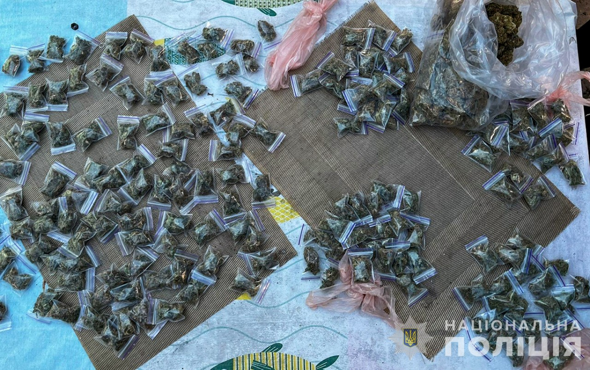 Вирощували та продавали коноплю - у Запоріжжі викрили трьох наркоділків