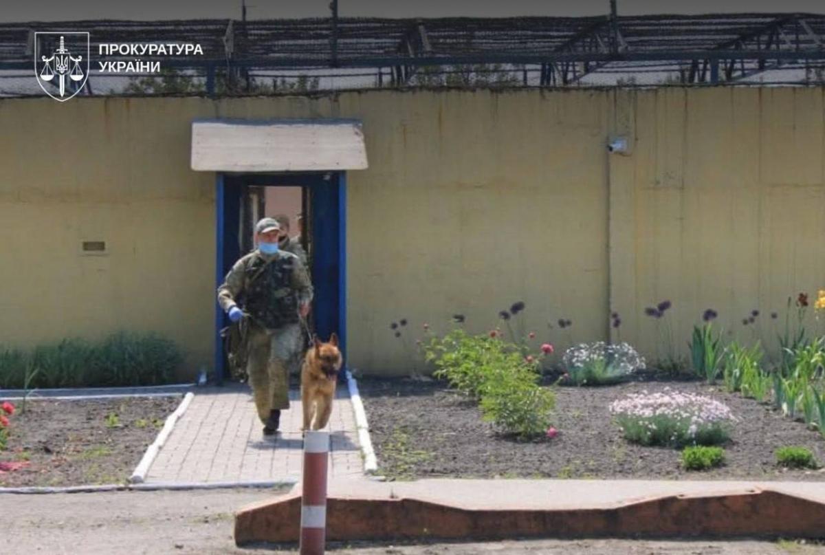 24 перебіжчика: державне бюро розслідувань повідомило підозру жителям Бердянська 