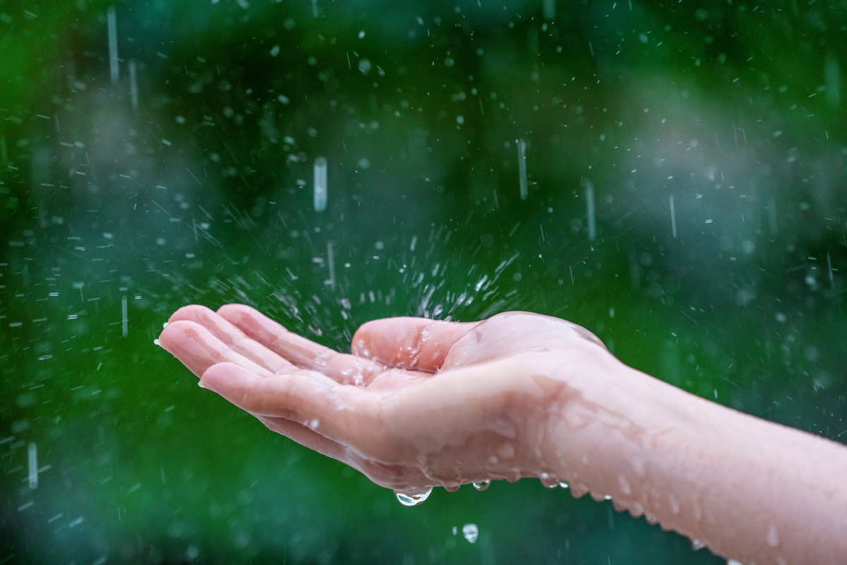 Діставайте парасольки – у Запоріжжі на 18 та 19 січня прогнозують дощі