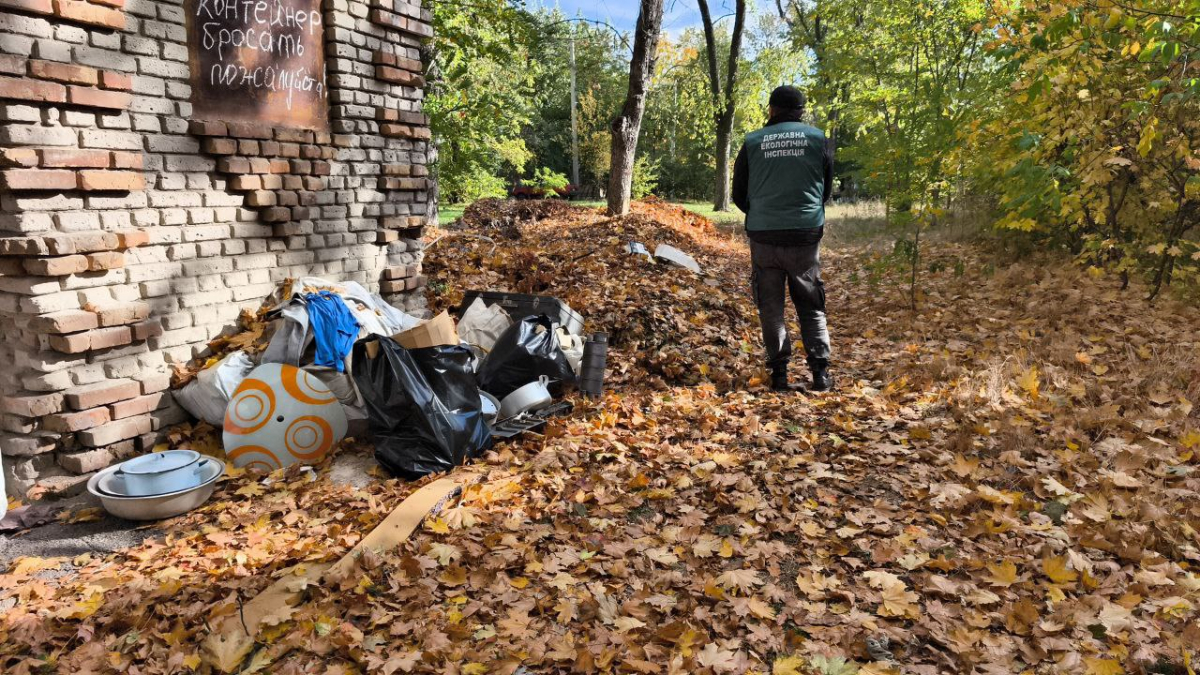  Перетворили двір у звалище - у Запоріжжі екологи виявили стихійний смітник (фото)