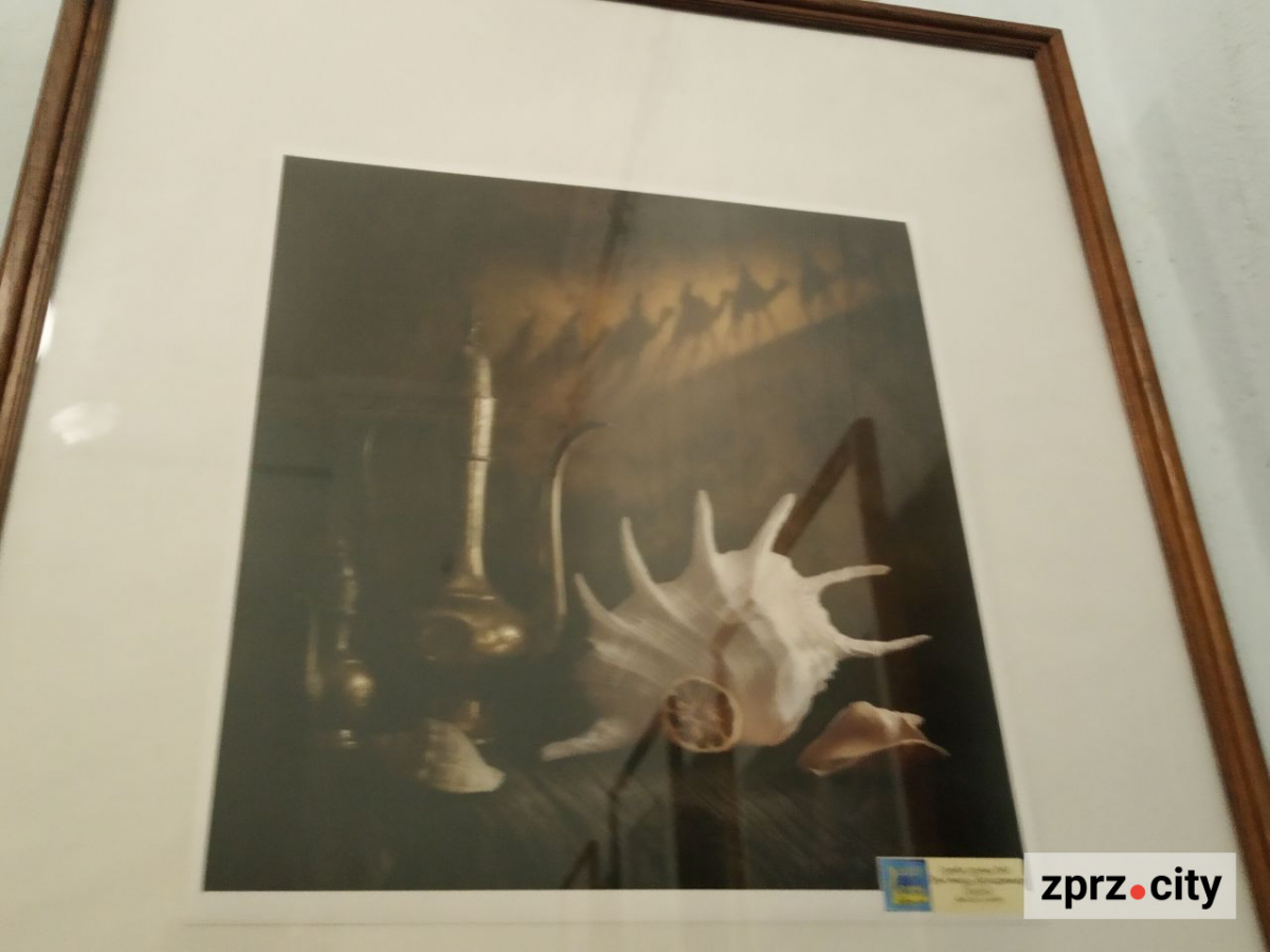 У Запоріжжі відкрили виставку найкращих фотографій з різних країн одного з міжнародних конкурсів - вхід безкоштовний