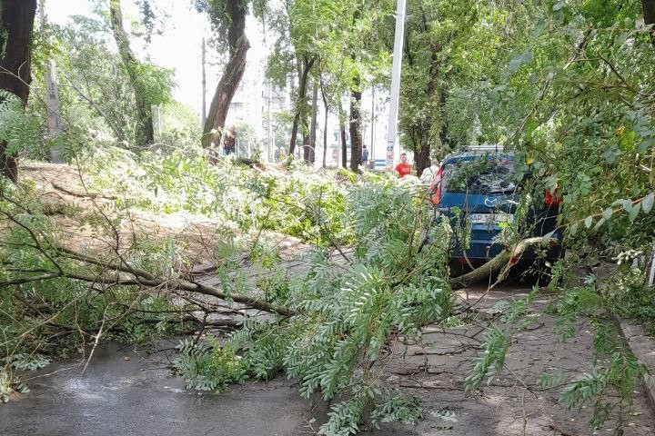 Повалені дерева та стовпи, обірвані мережі, побиті авто - у Запоріжжі комунальники ліквідовують наслідки негоди (фото)