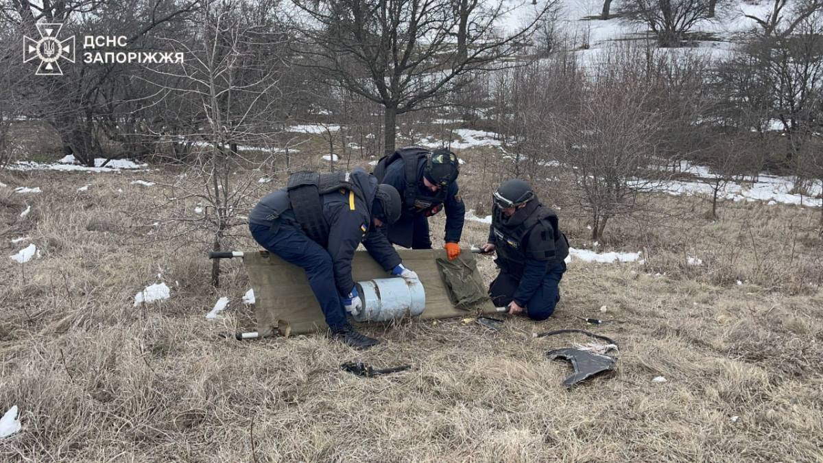 Мешканці Запорізького району знайшли в балці бойову частину російського "Шахеда" (фото, відео)