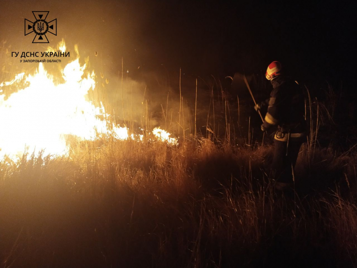 У Запоріжжі та області розпочався "сезон" пожеж сухої рослинності