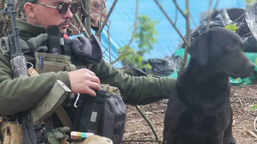 На передовій в Запорізькій області командир воює разом зі своєю собакою: подробиці