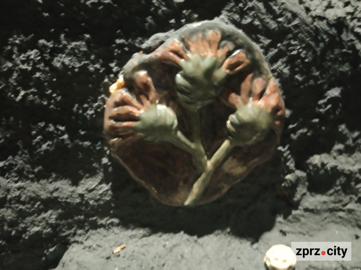 Запорізький центр сучасного мистецтва пропонує зануритись у чужі спогади (фото)