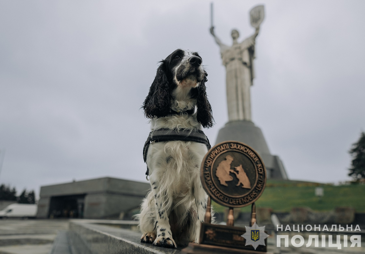 Гроза наркоманів - у Запоріжжі живе одна з найкращих поліцейських собак в Україні (фото)