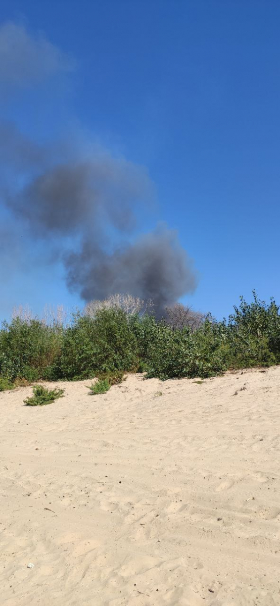 Масштабна пожежа у Запоріжжі - кілька десятків рятувальників гасять вогонь на 2,5 гектарах (фото, відео)