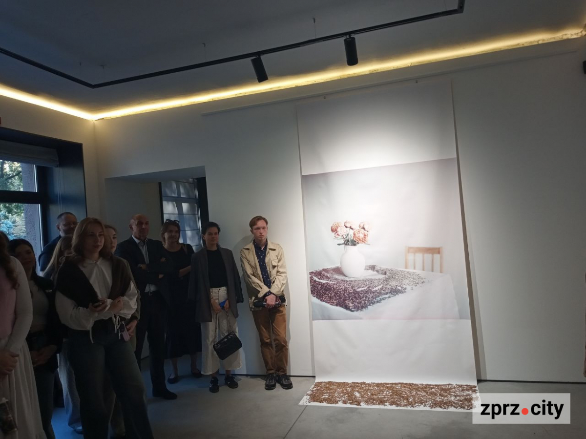 Українська художниця розповідає іноземцям про війну за допомогою мистецтва - показала виставку і в Запоріжжі