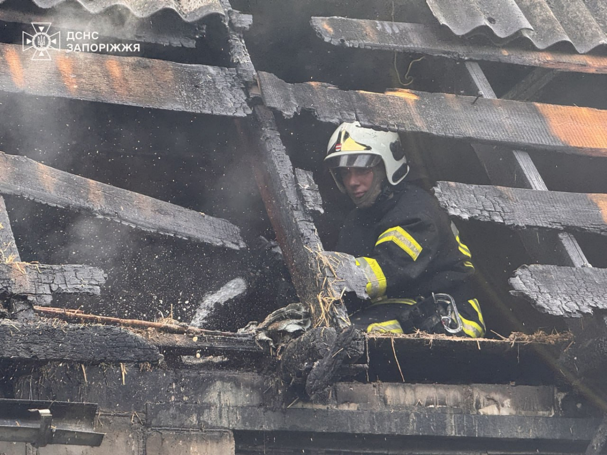 У Запоріжжі горів житловий будинок, фото: ГУ ДСНС України у Запорізькій області