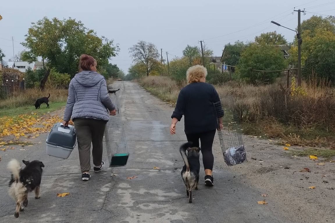 Евакуація тварин з прифронтових територій Запорізької області