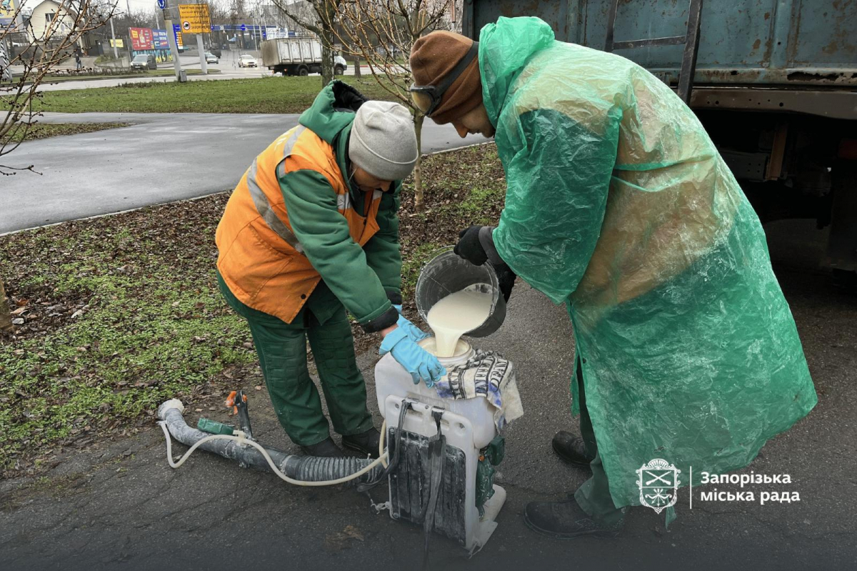 Незручність для вандалів - як на вулицях і в парках Запоріжжя обробляють ялинки