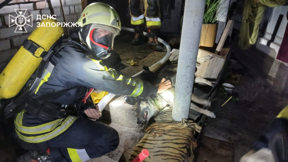 Батьки з дітьми опинилися серед вогню та диму: в Запоріжжі вночі в будинку спалахнула пожежа (фото, відео)
