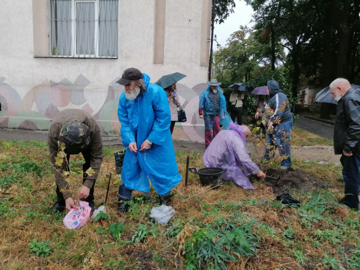На своє свято запорізькі художники посадили перед музеєм символ незламності: фото